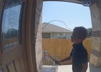 Video Shows 9-Year-Old White Boy Cracking Whip on Black Family’s Home in Texas