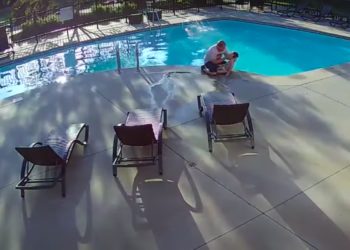Surveillance Video Captures Moment Neighbor Saves 4-Year-Old From Drowning
