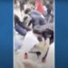Video Shows Wild Brawl at Tucson High School Involving at Least 30 Students and a Parent