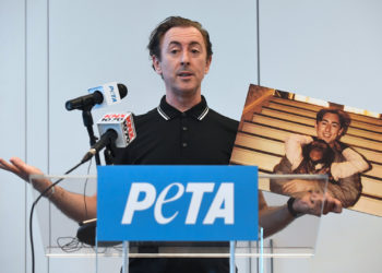 Alan Cumming’s Chimpanzee Co-Star From ‘Buddy’ Discovered Alive a Year After Owner Faked Death