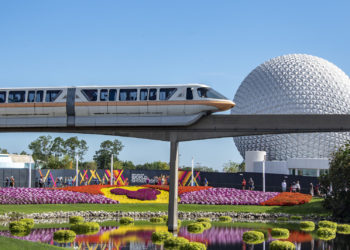 Disney World Employee Among 12 Men Accused of Soliciting Children Online for Sex