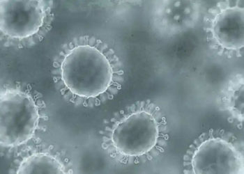 UK Health Officials Declare National Incident Over Polio Virus Found In Sewage