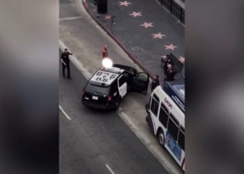 Man Filmed Dancing Naked Atop Police Car Hit With Misdemeanor