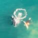 Drone Footage Shows Killer Whales Devouring Great White Shark