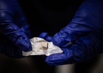 Mexican Authorities Announce ‘Largest Seizure in History’ After Recovering $230 Million Worth of Fentanyl