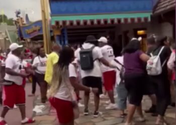 Video Shows Families Fighting at Disney World, 1 Person Reportedly Taken to Hospital