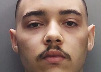 19-Year-Old Leicester Man Given Life Sentence After Stabbing Mother Over 80 Times