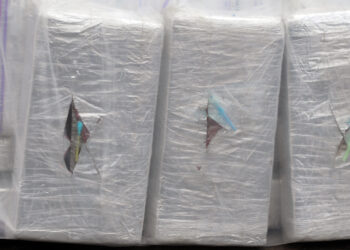 15 Bricks of Cocaine Wash Up on Mississippi Beach, Man Arrested for Trying to Take Some