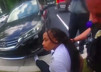 Man Allegedly Calls 911 Over Cold McDonald’s Fries, Gets Arrested in Connection With Murder