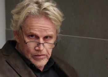 Gary Busey Charged With Sex Offenses After Horror Convention