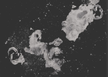 Pink Siifu Joins Maxo On Madlib-Produced “48” Single￼