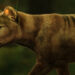 Project Aims to ‘De-Extinct’ the Tasmanian Tiger After Humans Eradicated It Nearly a Century Ago