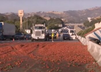 50,000 Pounds of Tomatoes Scattered on California Interstate After Truck Crashes Into Median