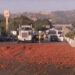 50,000 Pounds of Tomatoes Scattered on California Interstate After Truck Crashes Into Median