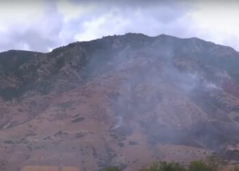 Authorities Say Utah Fire Was Started When Man Tried to Kill Spider by Burning It With Lighter