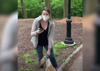 Amy Cooper Loses Lawsuit Against Company That Fired Her After ‘Central Park Karen’ Incident