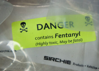 Florida Police Seize Enough Fentanyl to Kill 1.5 Million Adults
