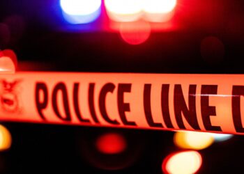 Woman Charged With Killing Man by Ramming Car Into Him After He Allegedly Tried to Run Over Cat