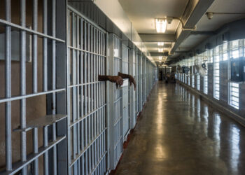 Georgia Inmate Accused of Stealing $11 Million From Billionaire While Behind Bars