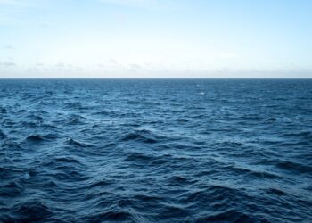 Researchers Say Supercontinent ‘Amasia’ Will Form Once Pacific Ocean Disappears