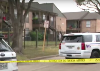 10-Year-Old Playing With Shotgun Fatally Shoots 8-Year-Old Brother in Texas