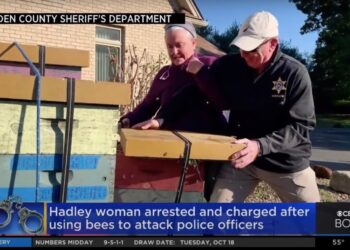 Woman Arrested After Allegedly Unleashing Bees on Deputies During Eviction