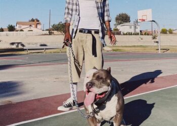 Ab-Soul Announces ‘HERBERT’ Album, Shares “Gang’Nem” Single