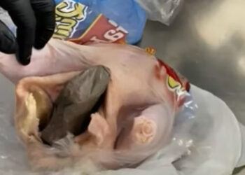 TSA Agents Recover Handgun From Inside Raw Chicken at Florida Airport
