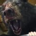 ‘Cocaine Bear’ Movie Inspired by True Events Gets Wild Trailer Showing Animal Go on Rampage