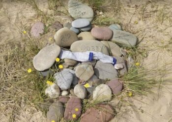 ‘Harry Potter’ Fans Asked to No Longer Leave Mementos at Dobby’s Grave in Wales