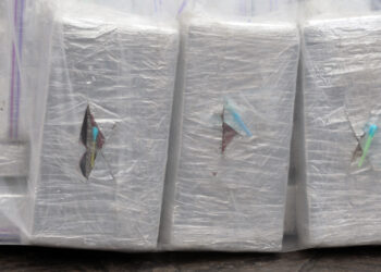 Brampton Man Charged After Attempting to Cross Border with 188 Bricks of Cocaine