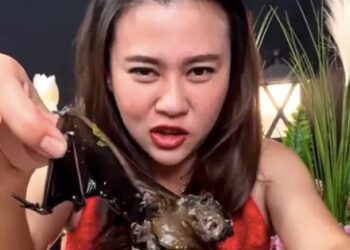 Woman Arrested After Filming Herself Eating Bat