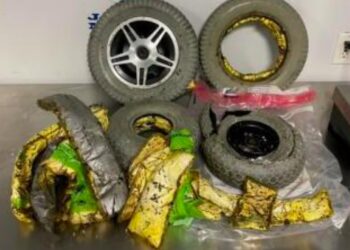 Woman Arrested After Discovery of $450K of Cocaine Hidden in Wheelchair