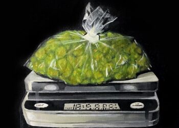 Smoke DZA & The Smokers Club Drop ‘Money For Dummies’ Album