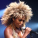 Tina Turner Mourns Death of Son Ronnie