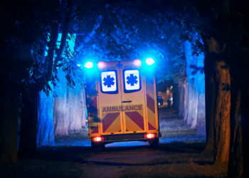 Dog Kills Kansas Man in Fatal Shooting Accident, Police Say