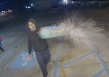 Arsonists Set Themselves on Fire While Trying to Burn Down California Immigration Center