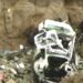 Car With 2 Adults and 2 Children Goes Over California Cliff, Everyone Survives
