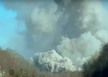 100,000 Chickens Estimated to Have Died in Connecticut Fire Amid Ongoing Egg Price Concerns