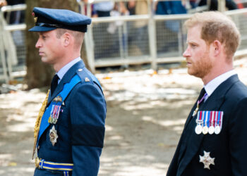 Prince Harry Comments on William Losing Hair at ‘Alarming’ Rate, No Longer Resembling Princess Diana