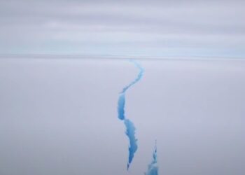 Giant Iceberg Twice the Size of NYC Breaks Off Ice Shelf in Antarctica