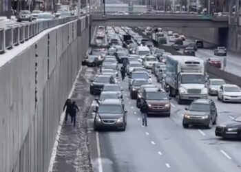 TikTok Video of Police Chase on Foot on Montreal Highway Goes Viral