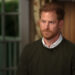 Prince Harry Says Royal Family Has Made No Attempt to Reconcile