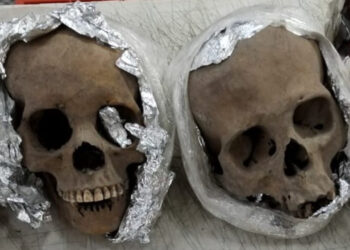 Human Skulls Found Wrapped in Plastic and Foil Were Being Shipped to South Carolina, Authorities Say