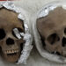 Human Skulls Found Wrapped in Plastic and Foil Were Being Shipped to South Carolina, Authorities Say