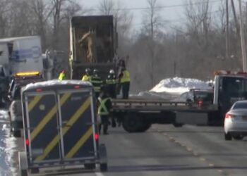6 Dead After Accident Between Tour Bus and Freight Truck in Upstate New York