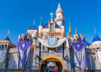 Man Breaks Guinness World Record for Visiting Disneyland Almost 3,000 Times