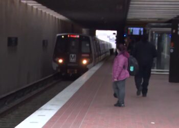Man Dies After Being Dragged When Dog’s Leash Gets Stuck in Train Doors