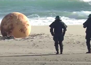 Mysterious Metal Sphere Causes Confusion After Washing Ashore in Japan