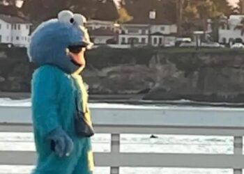 Police Urge Santa Cruz Residents to Avoid ‘Creepy’ Man Dressed as Cookie Monster